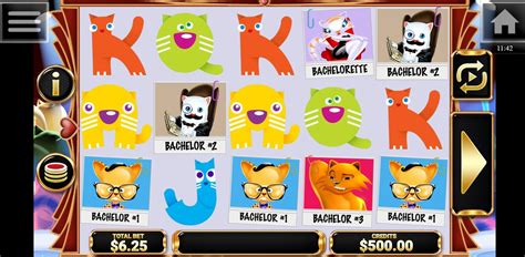 The Purrfect Match Slot Gratis