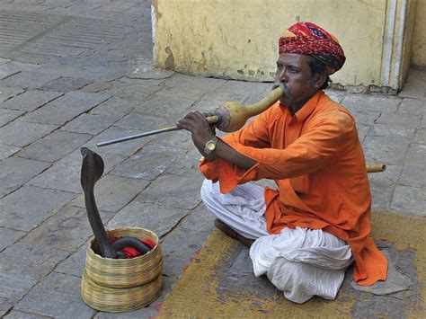 The Snake Charmer Brabet