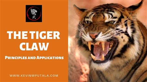 Tigers Claw Betway