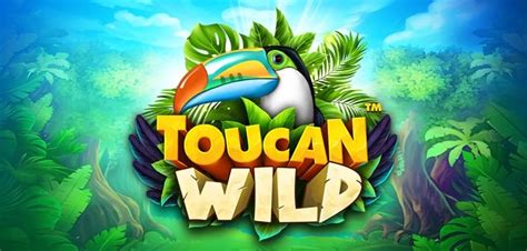 Toucan Wild Review 2024