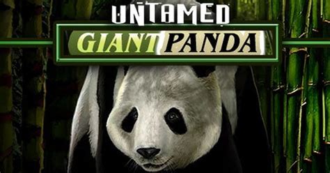 Untamed Giant Panda Betano