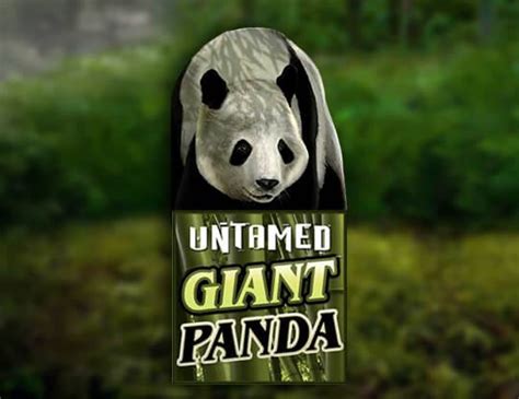 Untamed Giant Panda Netbet