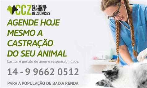 Uo Animal De Estimacao De Controle De Slots