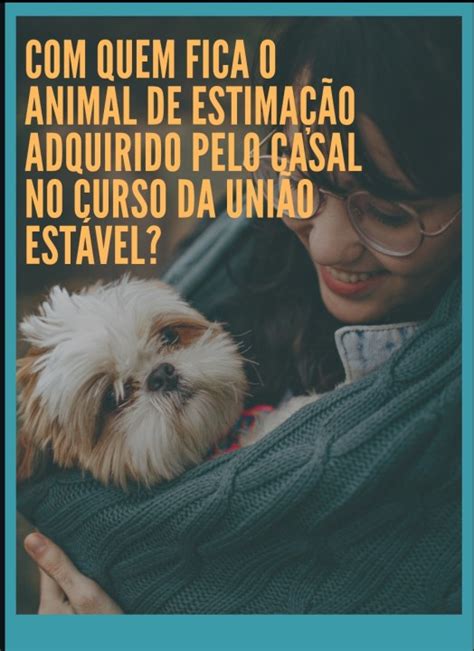 Uo Animal De Estimacao Estavel Slots