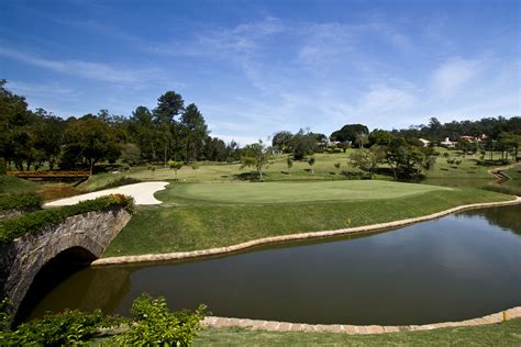 Urso Preto De Cassino Campo De Golfe