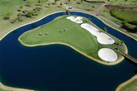 Urso Preto De Cassino Campo De Golfe Comentarios