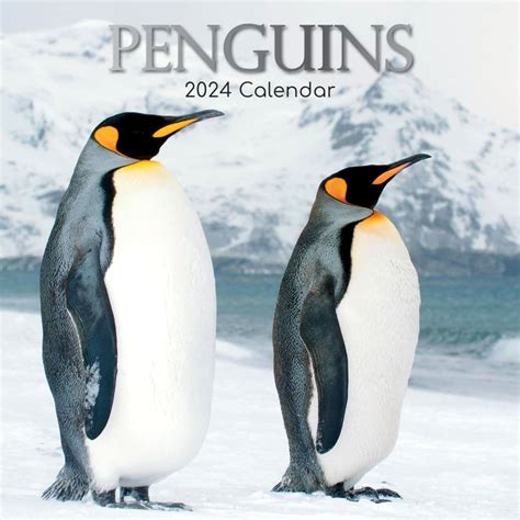 Van Penguin Review 2024