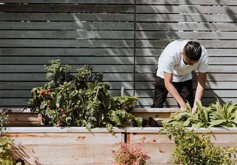 Veggies Plot Betsson