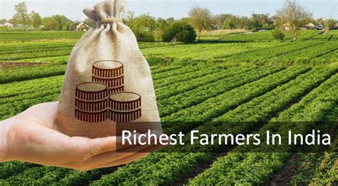 Wealthy Farmer Review 2024