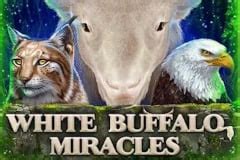 White Buffalo Miracles 1xbet