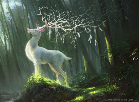 White Deer Parimatch