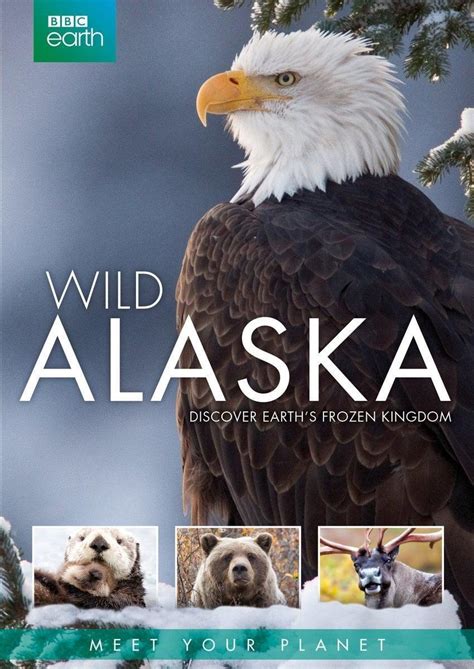 Wild Alaska Brabet