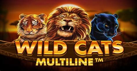 Wild Cat Netbet