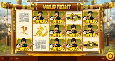 Wild Fight 888 Casino