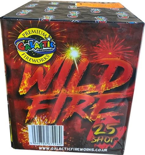 Wild Fireworks Blaze
