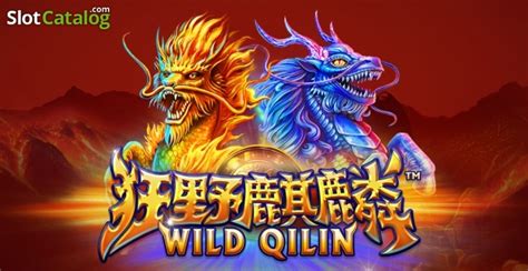 Wild Qilin Review 2024