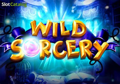 Wild Sorcery Review 2024