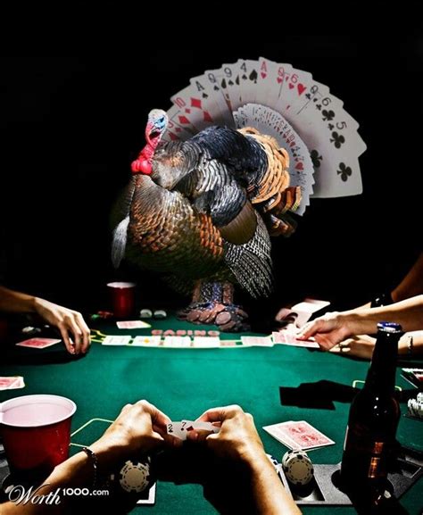 Wild Turkey Poker