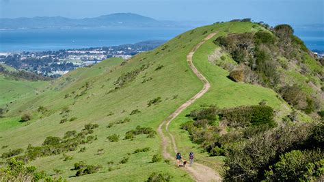 Wildcat Canyon Novibet