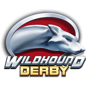 Wildhound Derby Blaze