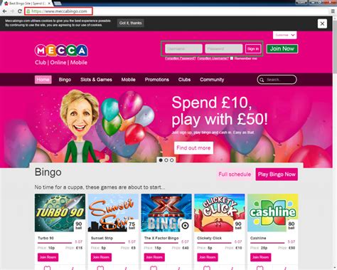 Win It Bingo Casino Login