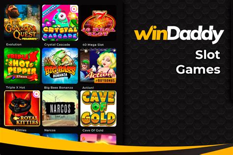 Windaddy Casino Ecuador