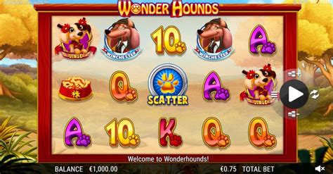 Wonder Hounds 96 Betfair