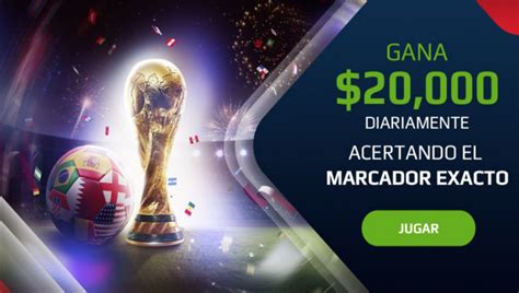 World Wild Cup Netbet