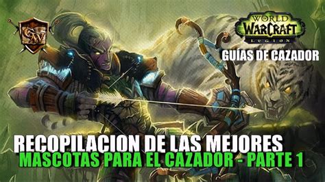 Wow Cacador De Estimacao Slots Por Nivel