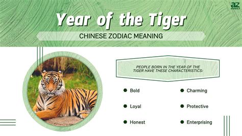 Year Of The Tiger Bodog